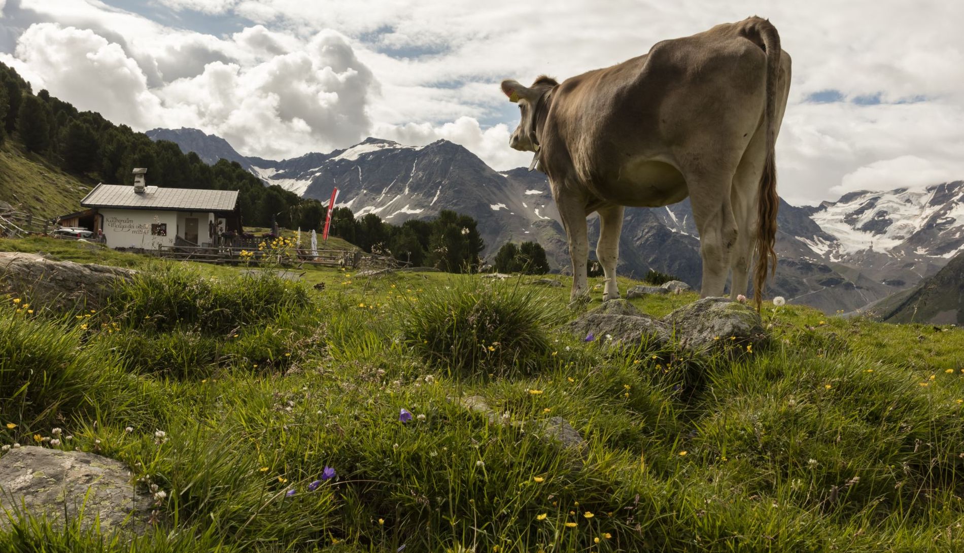 SOMMERZEIT SOMMERZEIT